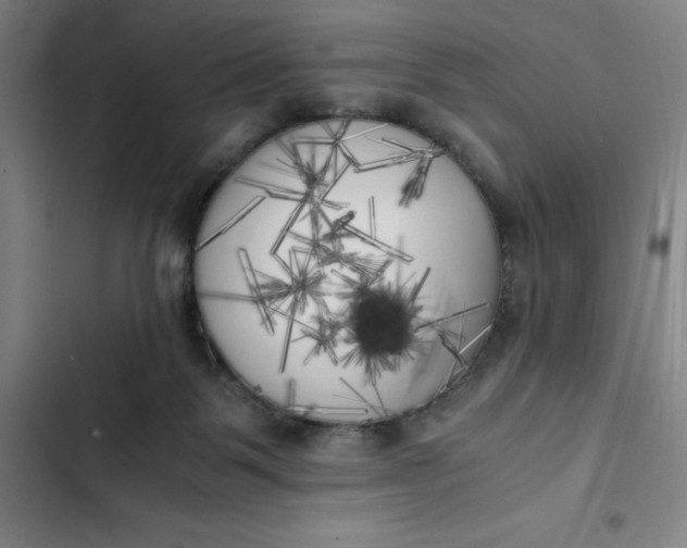 X0000102470123200808221652