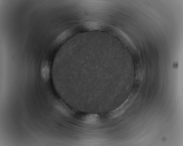 X0000102470124200808221652
