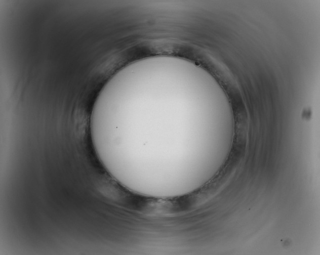 X0000102470125200808221652