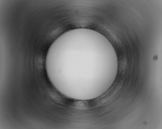 X0000102470126200808221652