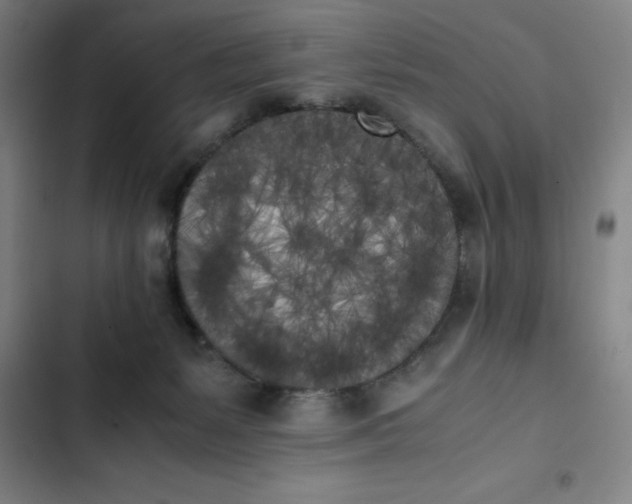 X0000102470127200808221652