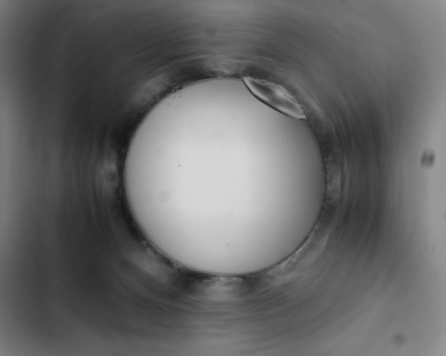X0000102470128200808221652