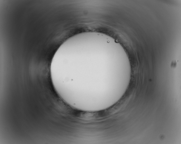 X0000102470129200808221652