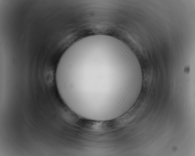 X0000102470130200808221652