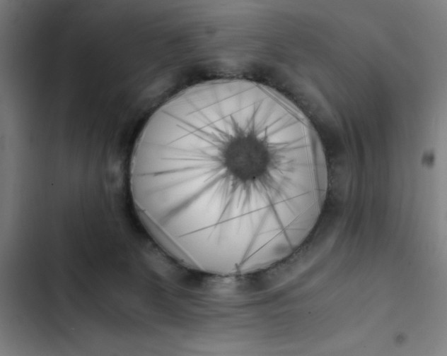 X0000102470131200808221652