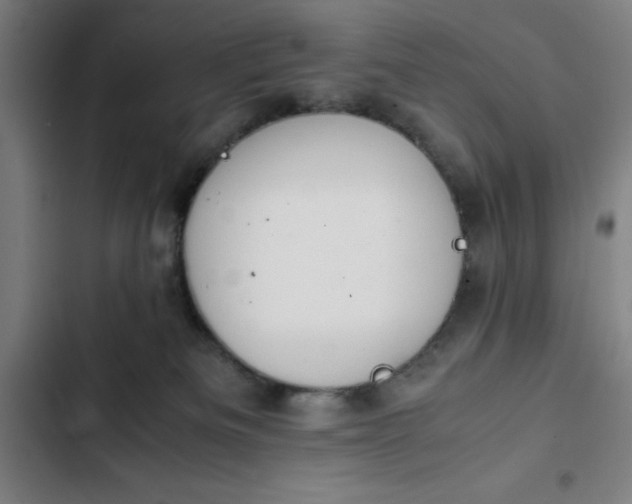 X0000102470133200808221652