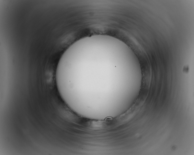 X0000102470134200808221652