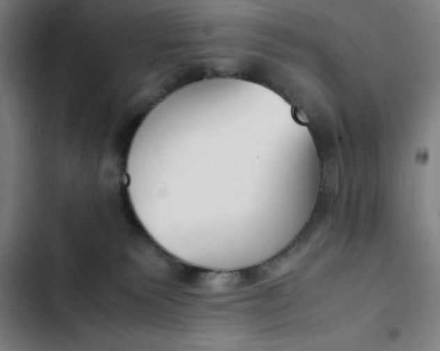 X0000102470135200808221652