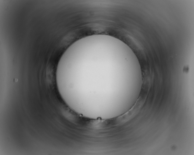 X0000102470136200808221652