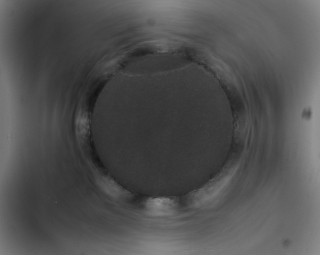 X0000102470137200808221652
