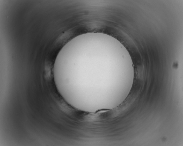 X0000102470138200808221652
