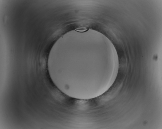 X0000102470139200808221652