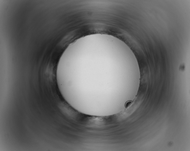 X0000102470140200808221652
