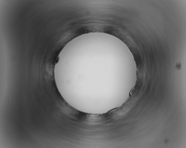 X0000102470141200808221652