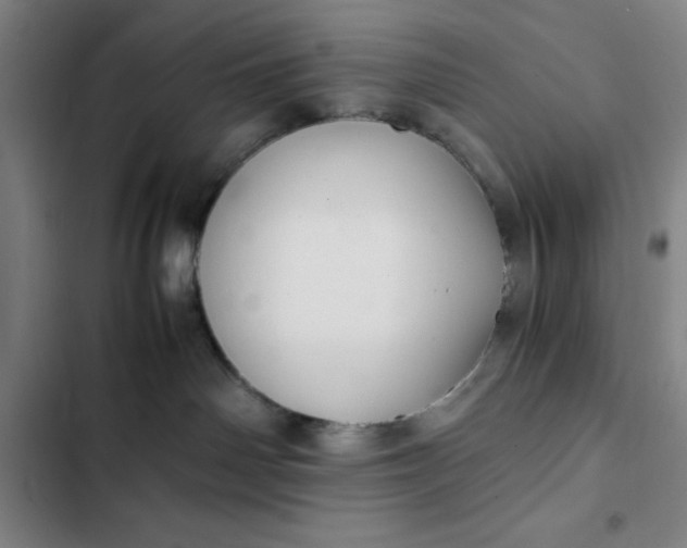 X0000102470142200808221652