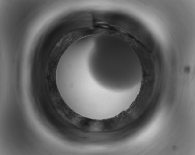 X0000102470143200808221652
