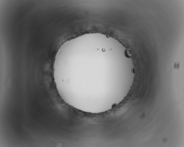 X0000102470144200808221652