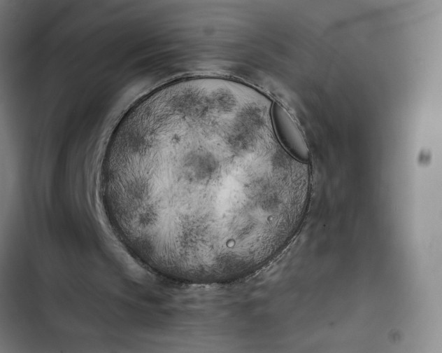 X0000102470145200808221651