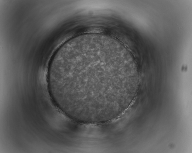 X0000102470146200808221651