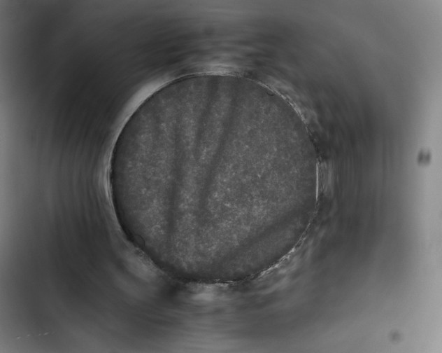 X0000102470147200808221651