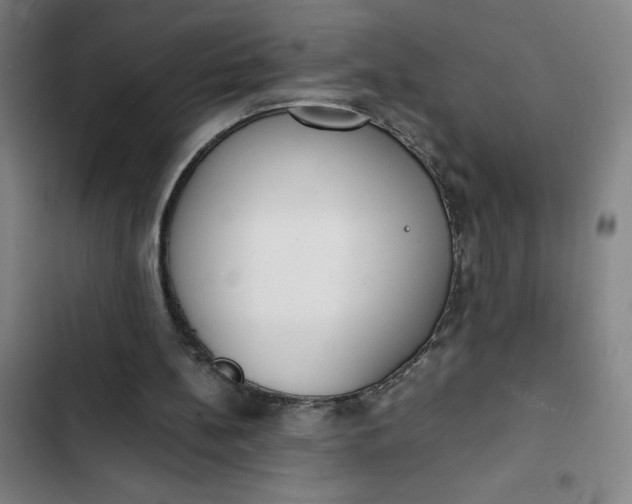 X0000102470148200808221651