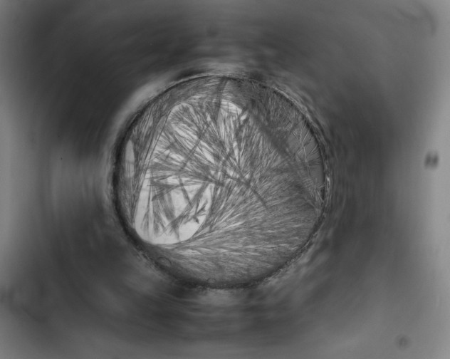 X0000102470149200808221651