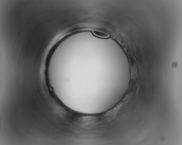 X0000102470150200808221651