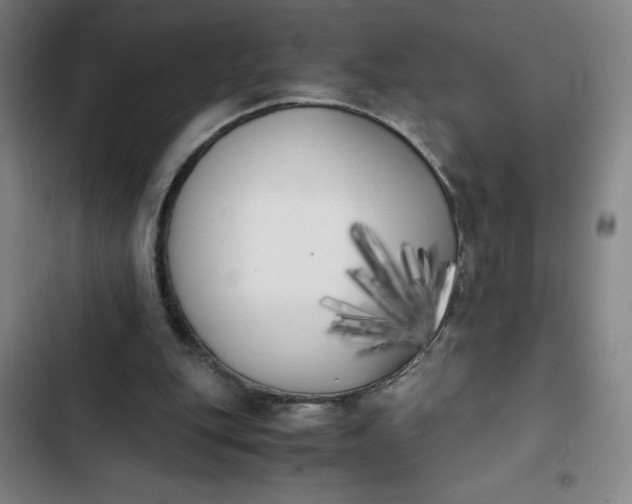 X0000102470151200808221651