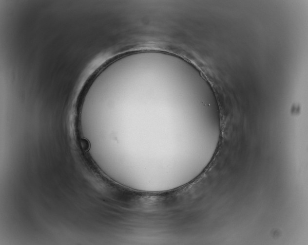 X0000102470152200808221651