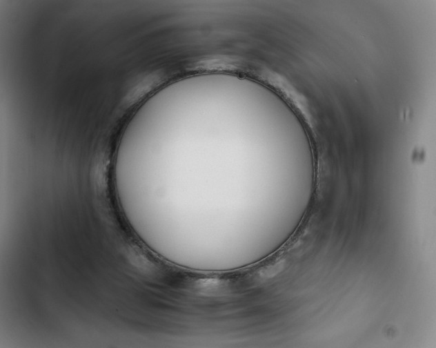 X0000102470153200808221651