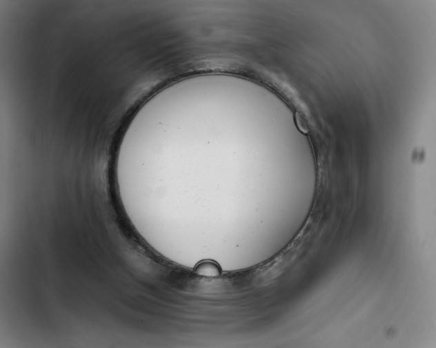 X0000102470154200808221651
