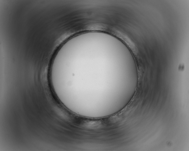 X0000102470155200808221651