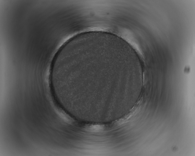 X0000102470156200808221651
