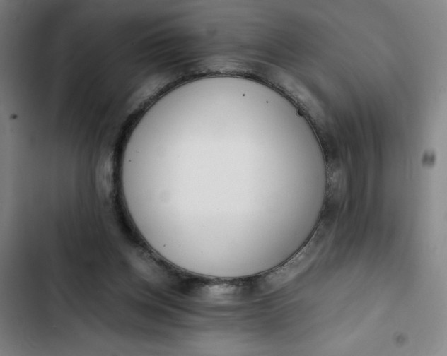 X0000102470158200808221651