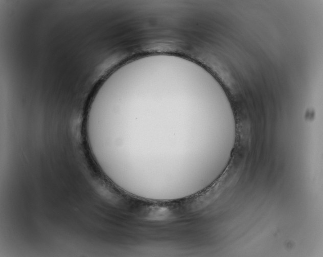X0000102470159200808221651