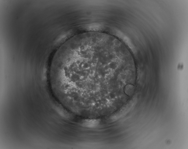 X0000102470161200808221651