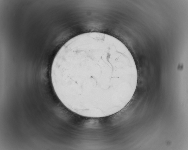 X0000102470162200808221651