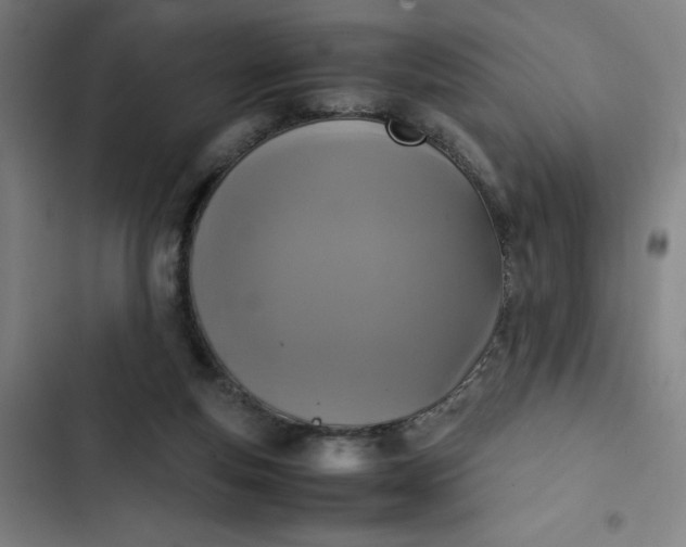 X0000102470163200808221651