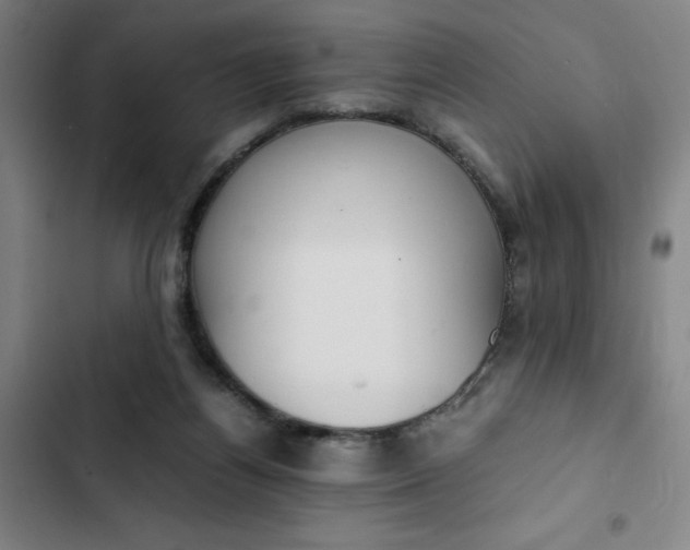 X0000102470164200808221651