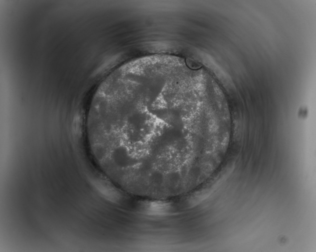 X0000102470165200808221651