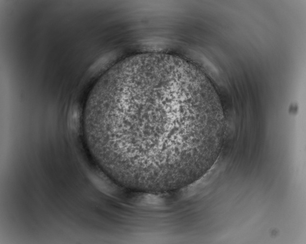 X0000102470166200808221651