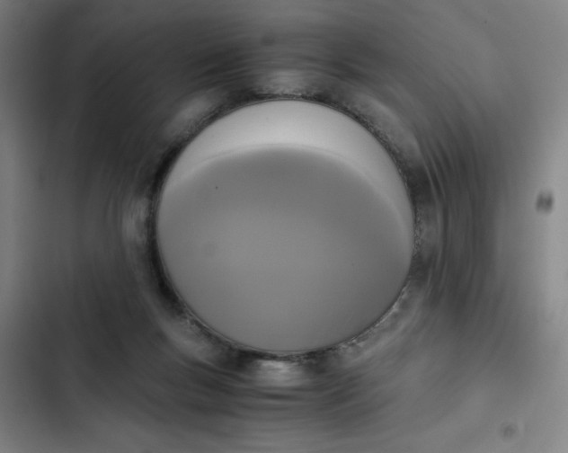 X0000102470167200808221651