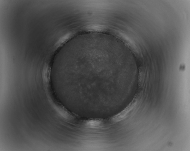 X0000102470168200808221651