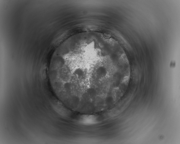X0000102470169200808221651