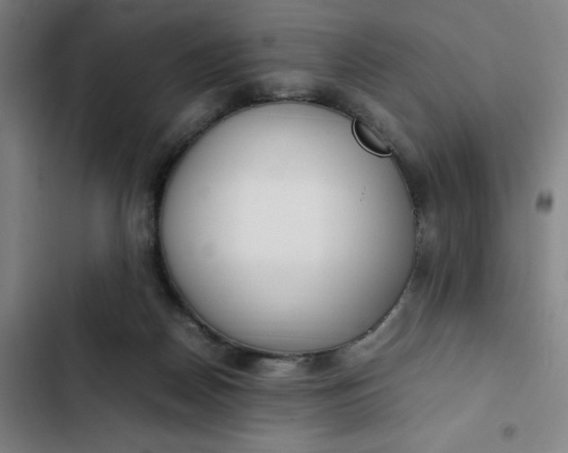 X0000102470170200808221651