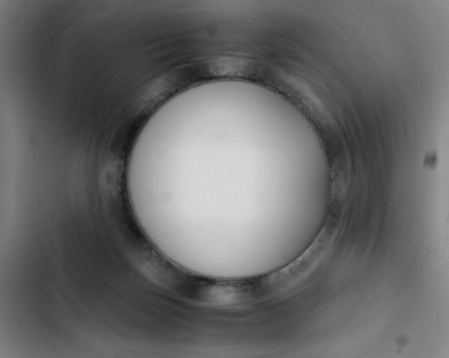 X0000102470171200808221651