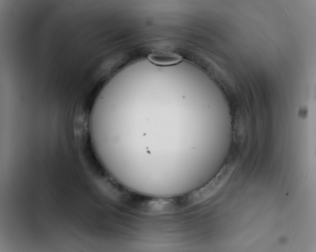 X0000102470172200808221651
