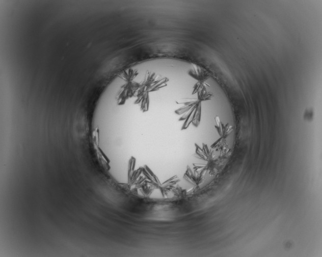 X0000102470173200808221651