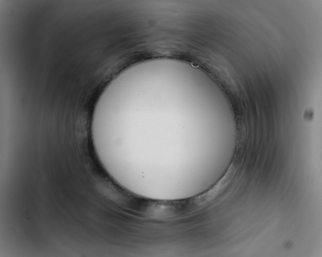 X0000102470174200808221651