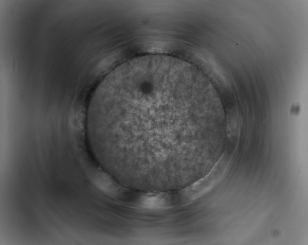 X0000102470175200808221651